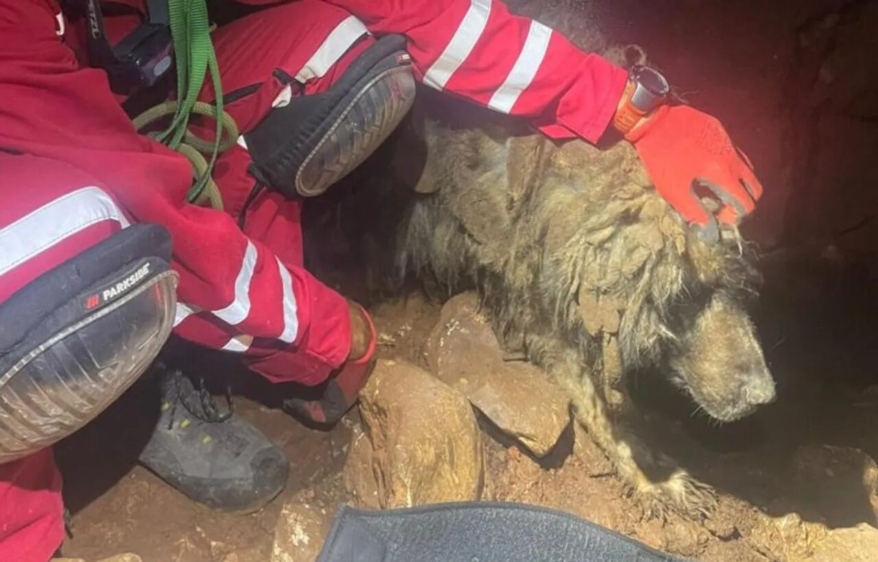 1280×1280-42bcbbf4-9d0c-11eb-8f97-cedfb09875dd (1) 1280×1280-42bcbbf4-9d0c-11eb-8f97-cedfb09875dd (1)