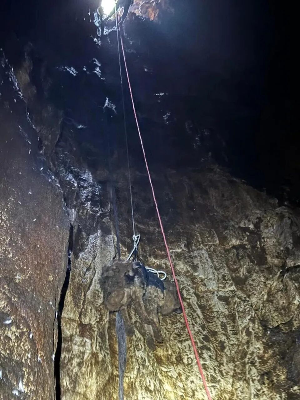 1280×1280-42bcbbf4-9d0c-11eb-8f97-cedfb09875dd (3) 1280×1280-42bcbbf4-9d0c-11eb-8f97-cedfb09875dd (3)