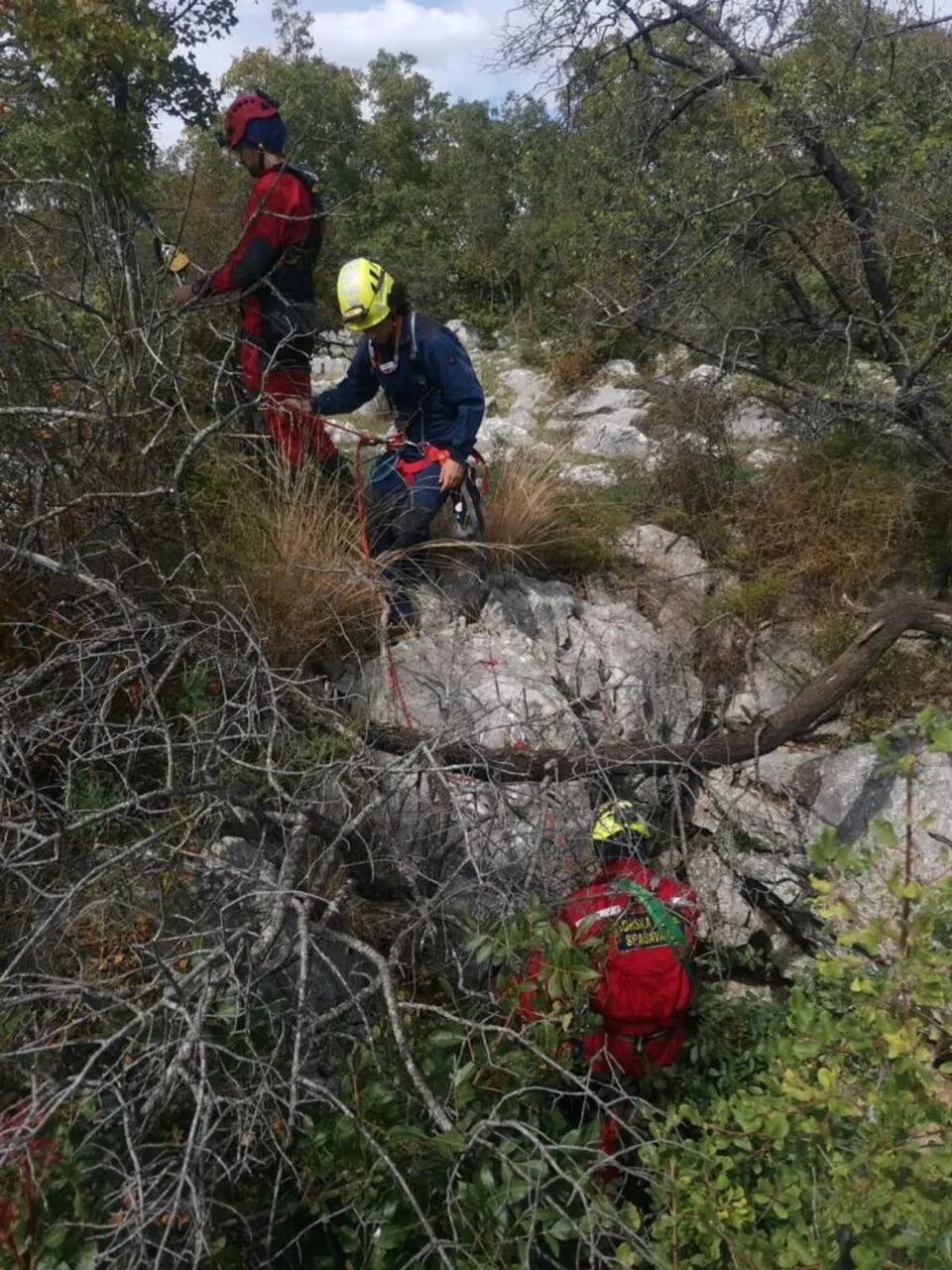 1280×1280-42bcbbf4-9d0c-11eb-8f97-cedfb09875dd (5) 1280×1280-42bcbbf4-9d0c-11eb-8f97-cedfb09875dd (5)