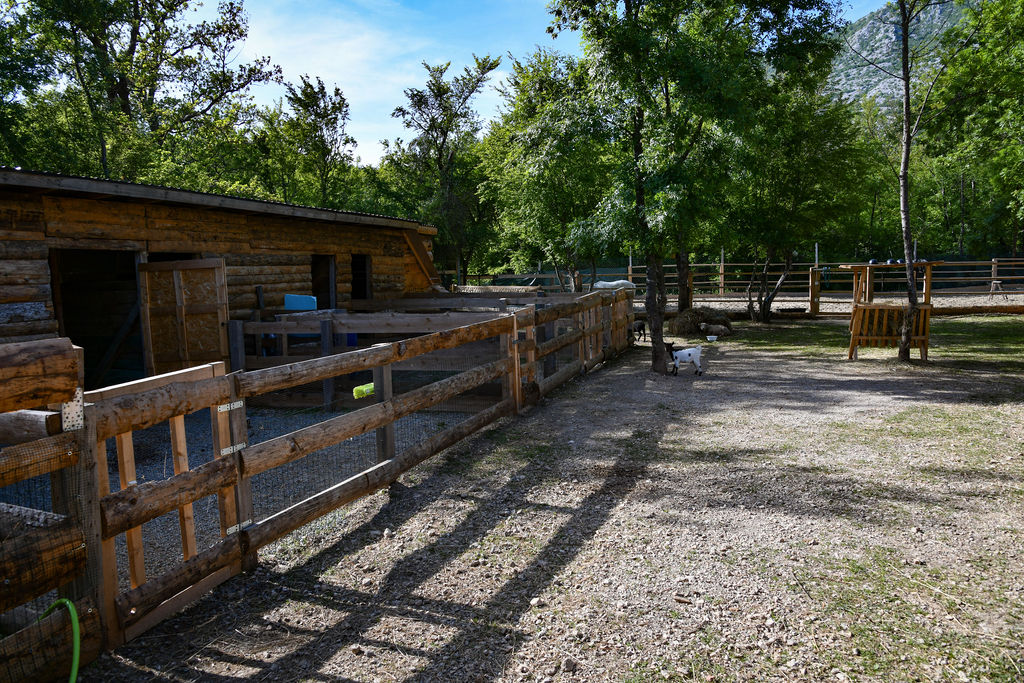 AlpakaRanch57 AlpakaRanch57