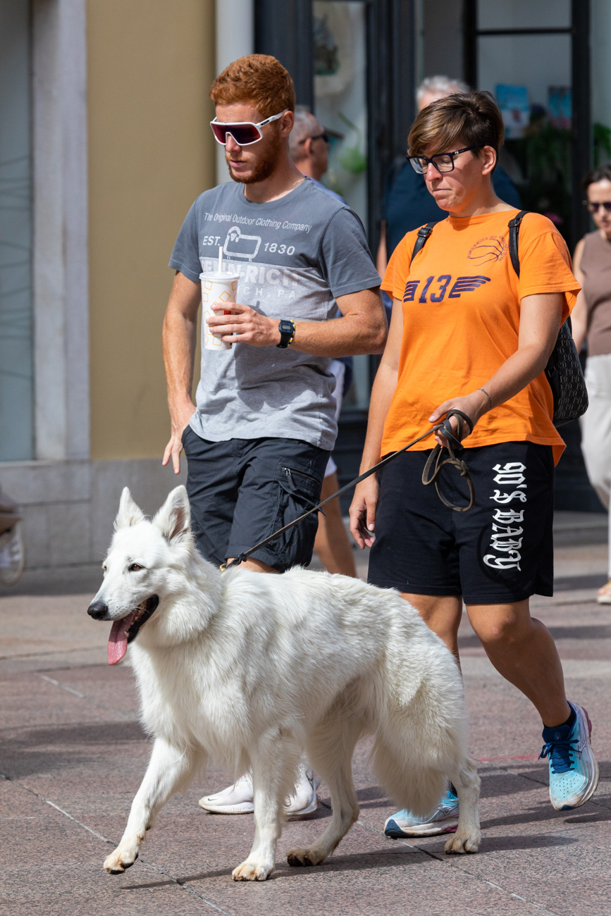 Klikom po Korzu 6.9.-59 Klikom po Korzu 6.9.-59