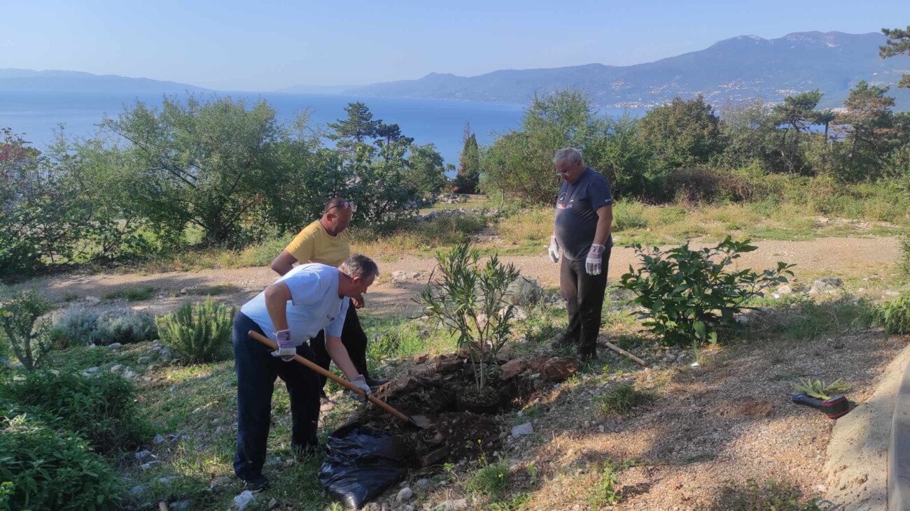 Na-kraju-Dražičke-ulice-posađen-je-i-novi-oleandar Na-kraju-Dražičke-ulice-posađen-je-i-novi-oleandar