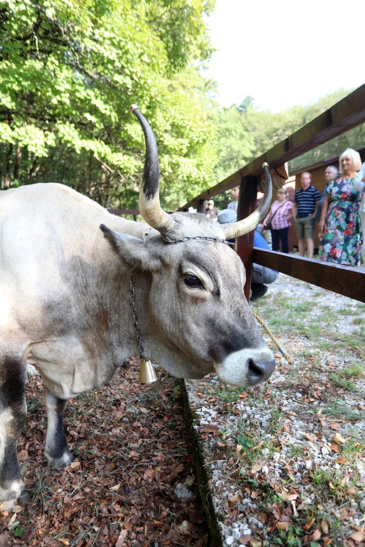 Učka: 16. Učkarski samanj u Parku prirode Učka