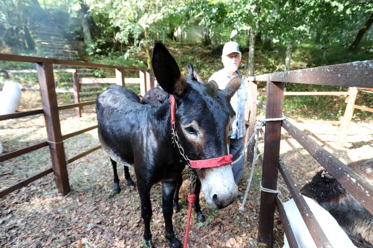 Učka: 16. Učkarski samanj u Parku prirode Učka Učka: 16. Učkarski samanj u Parku prirode Učka