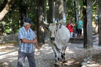 Učka: 16. Učkarski samanj u Parku prirode Učka