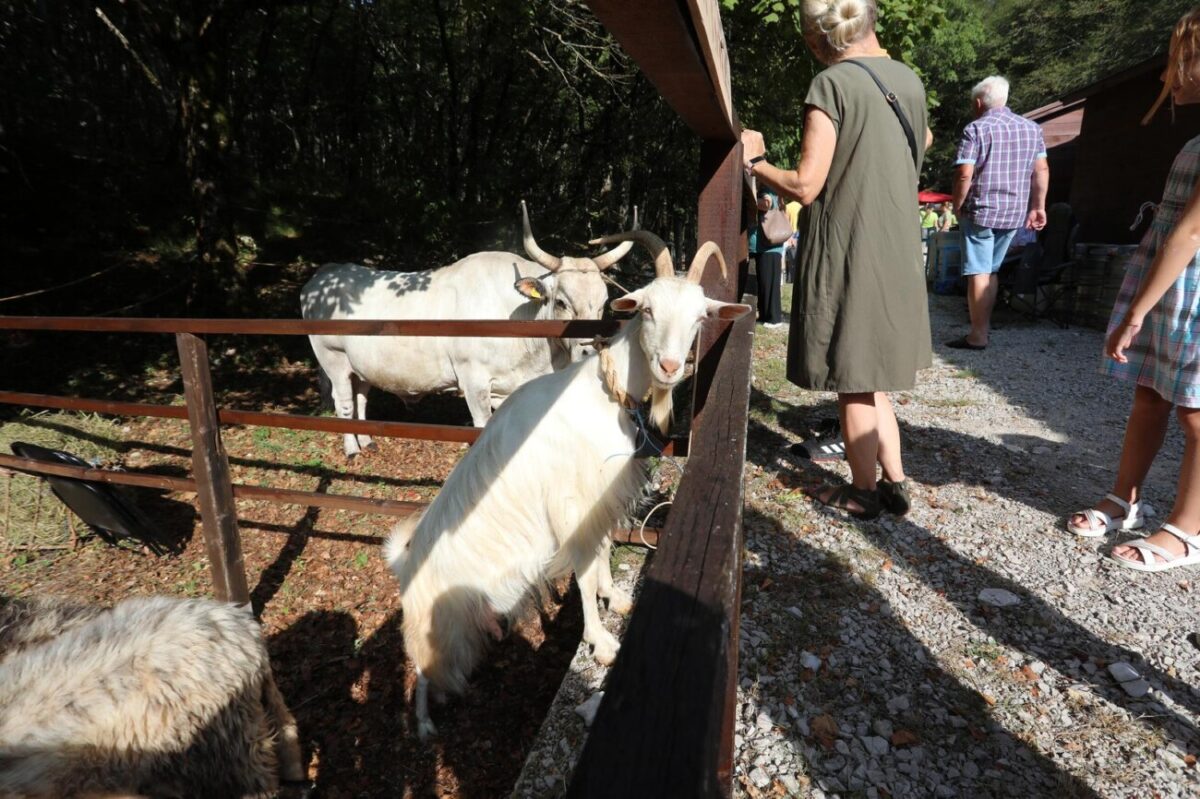 Učka: 16. Učkarski samanj u Parku prirode Učka