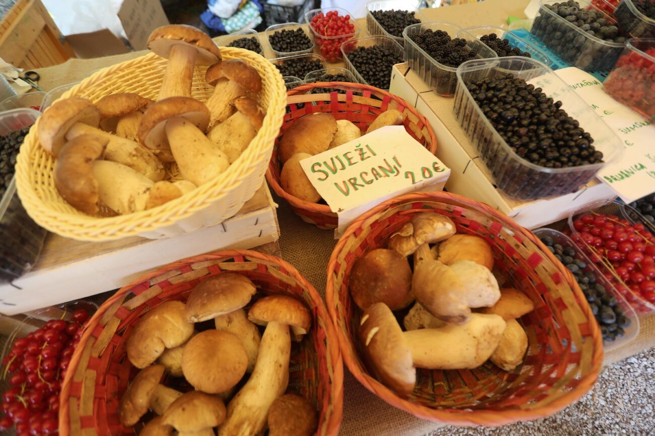 Učka: 16. Učkarski samanj u Parku prirode Učka Učka: 16. Učkarski samanj u Parku prirode Učka