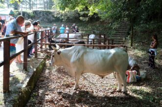 Učka: 16. Učkarski samanj u Parku prirode Učka