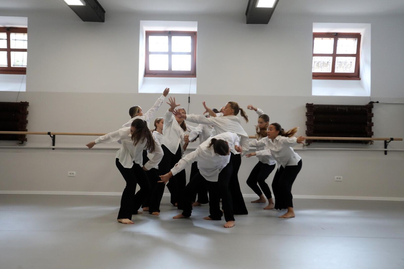 Rijeka: U Sušačkoj gimnaziji predstavljen novi srednjoškolski program Rijeka: U Sušačkoj gimnaziji predstavljen novi srednjoškolski program