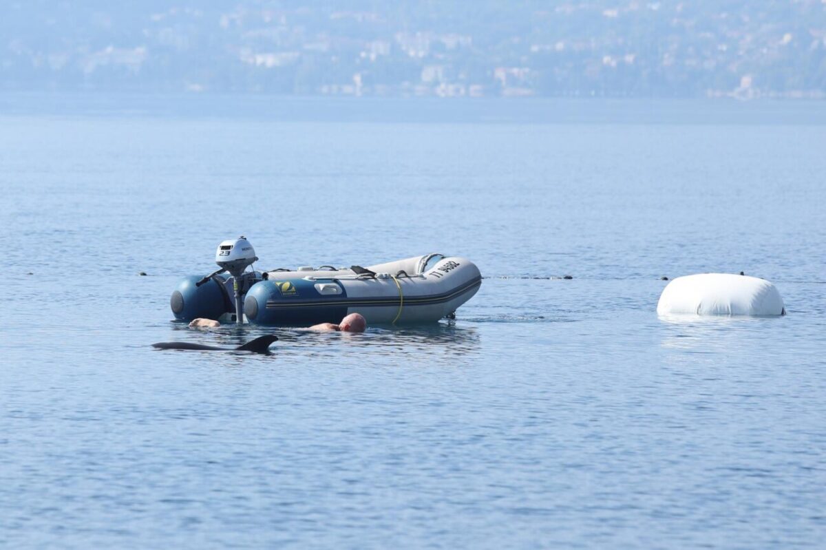 RIjeka: Plivač i ronioc kupaju se u društvu dupina