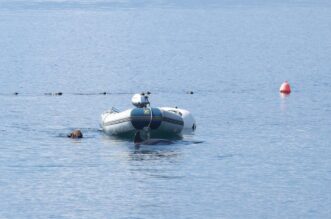 RIjeka: Plivač i ronioc kupaju se u društvu dupina