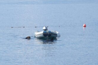 RIjeka: Plivač i ronioc kupaju se u društvu dupina