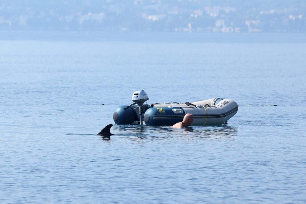 RIjeka: Plivač i ronioc kupaju se u društvu dupina