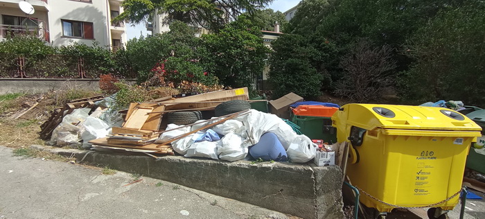 ede-starca-13 ede-starca-13