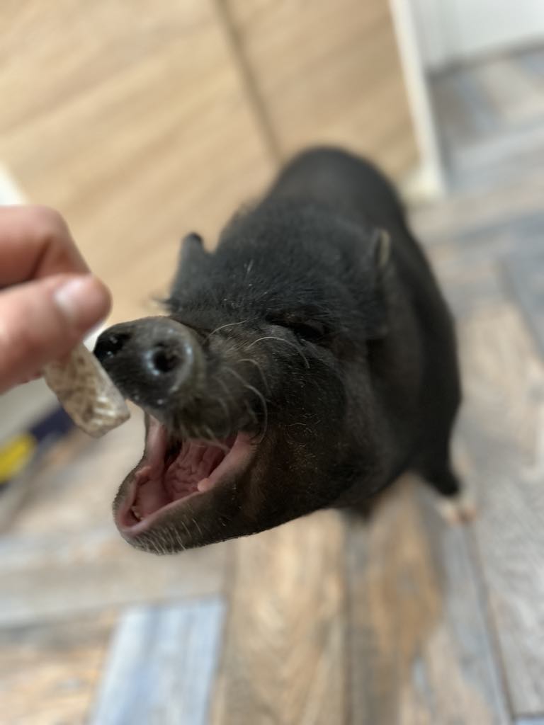 2a0201a5-c9b9-45f1-a0fa-ac6c917f5a9d 2a0201a5-c9b9-45f1-a0fa-ac6c917f5a9d