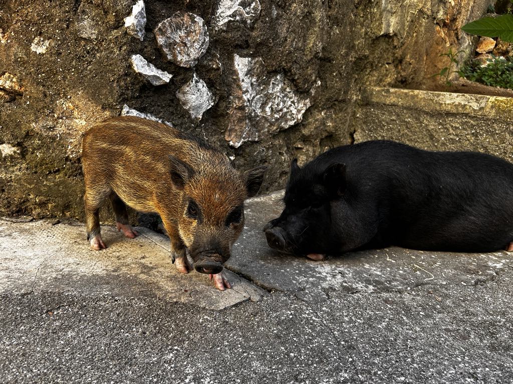 330e1b8e-890b-4f6e-9122-0525208c1e06 330e1b8e-890b-4f6e-9122-0525208c1e06