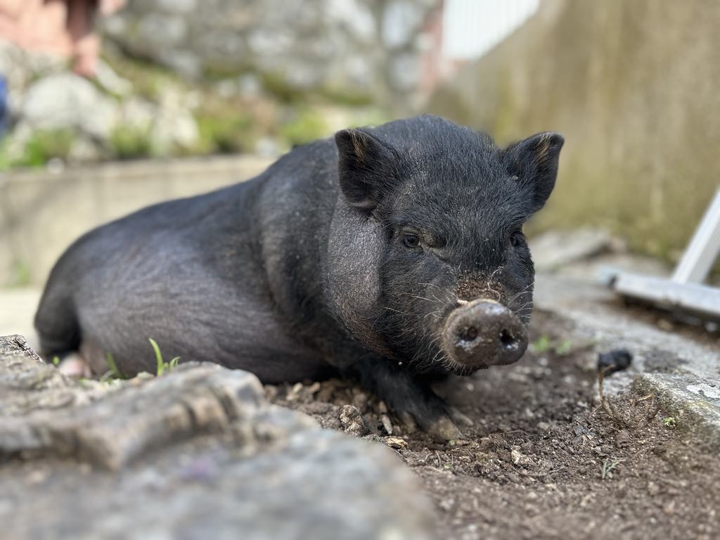 3867ae75-f71c-4f5d-862c-de900a9ff2cf 3867ae75-f71c-4f5d-862c-de900a9ff2cf