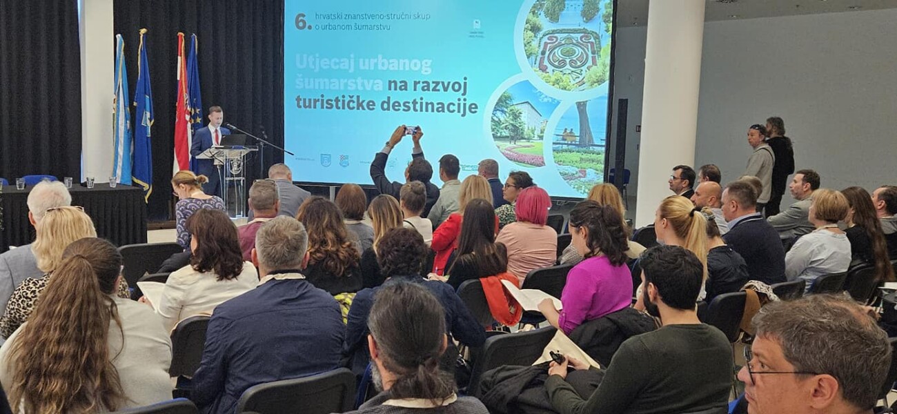 464227347_936936128340430_9142894839703568695_n 464227347_936936128340430_9142894839703568695_n