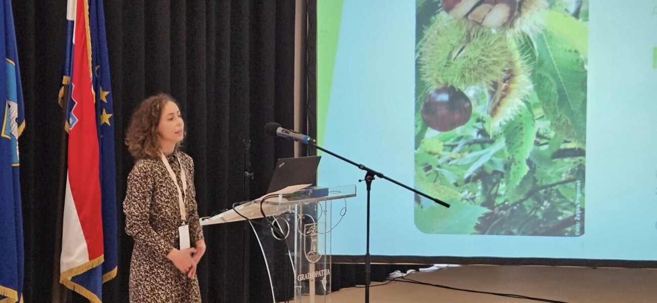 464932570_936938261673550_181207883841095786_n 464932570_936938261673550_181207883841095786_n