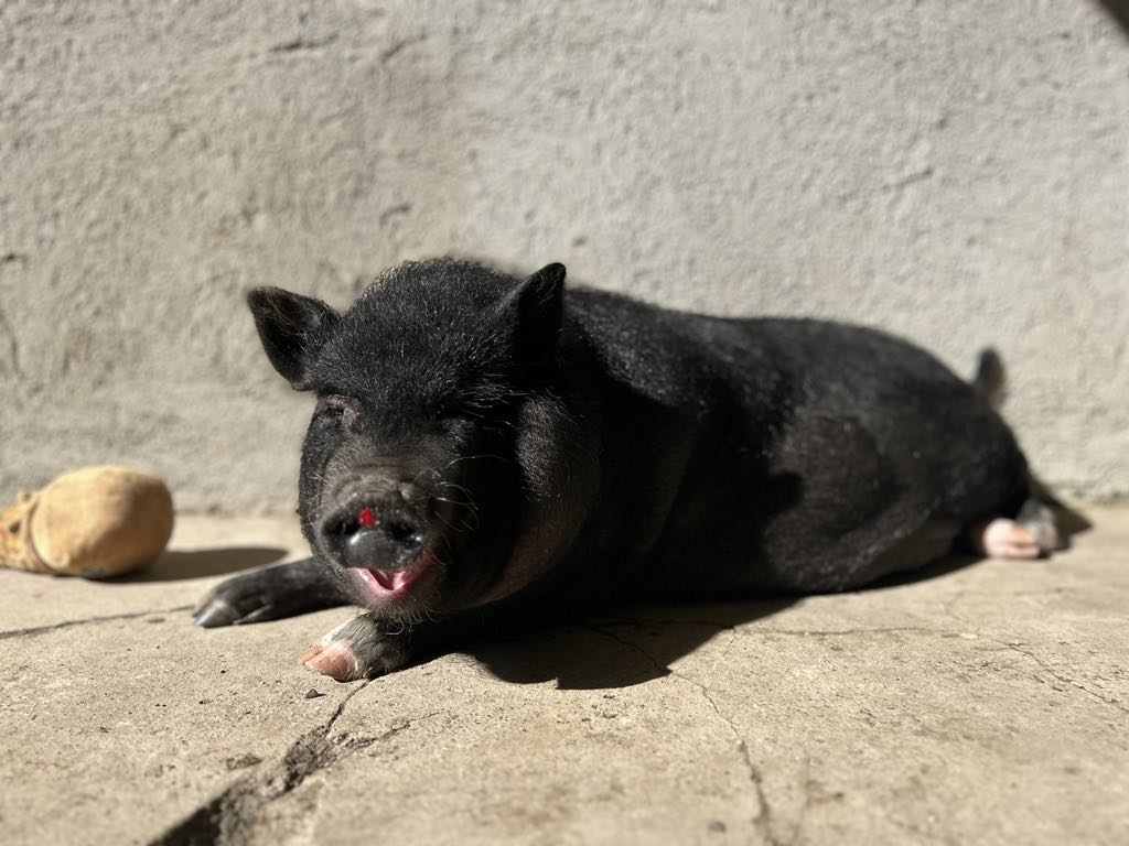 810bd33b-38e0-47dd-af6a-ca26f46e49a5 810bd33b-38e0-47dd-af6a-ca26f46e49a5