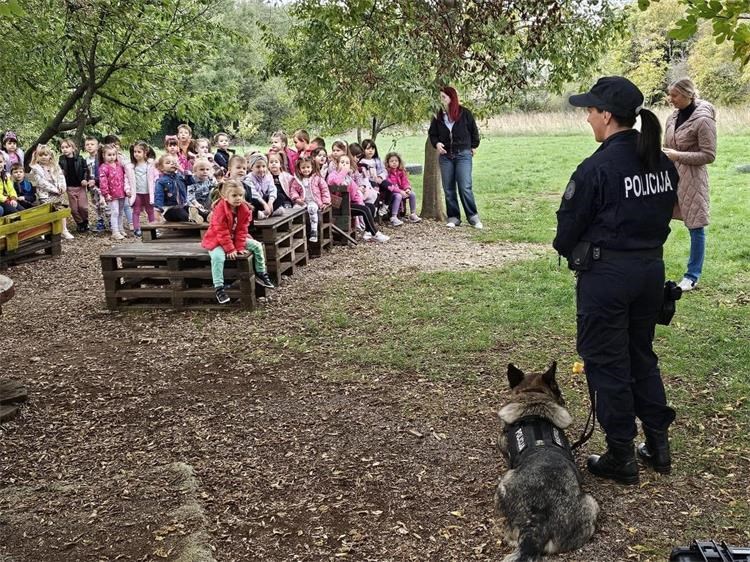 DV Bambi 3 DV Bambi 3