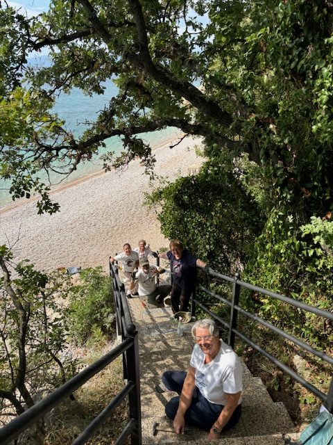 IMG_1517-rotated IMG_1517-rotated