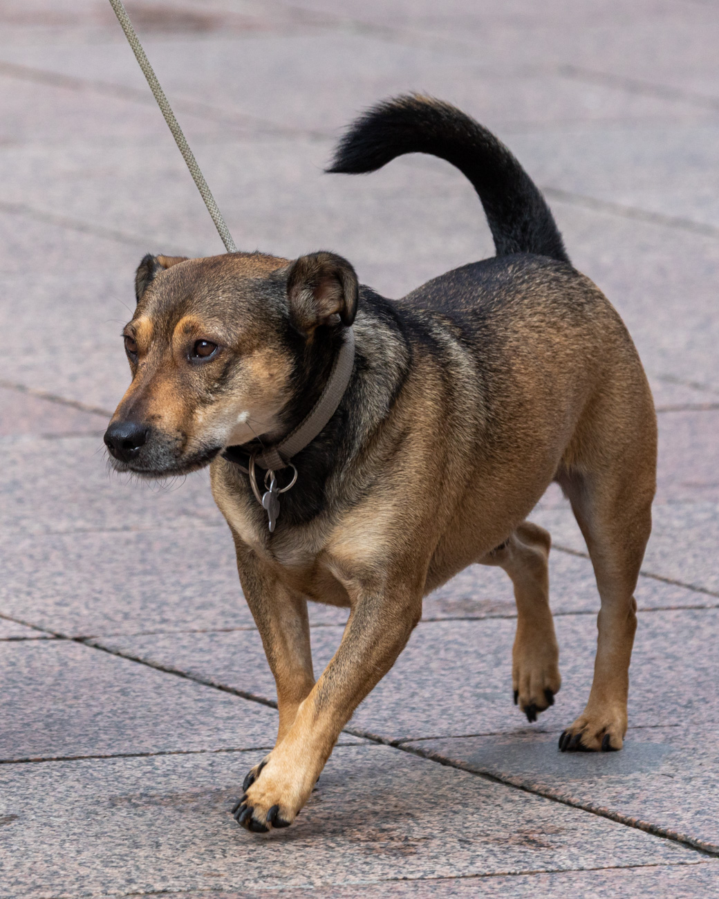 Klikom po Korzu 25.10.-34 Klikom po Korzu 25.10.-34