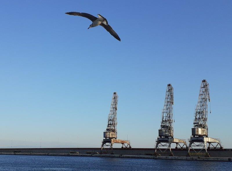 Motiv-1-Lučke-dizalice-5.9.2021 Motiv-1-Lučke-dizalice-5.9.2021