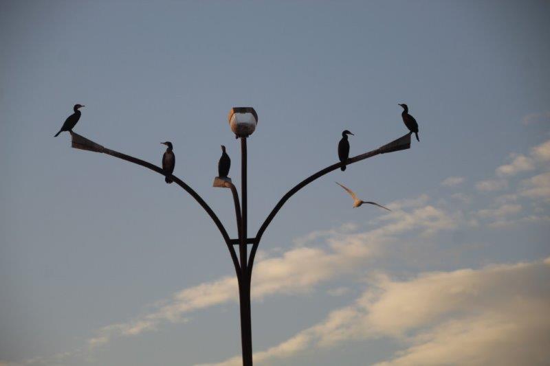 Motiv-3-Ružićev-gat-25.12.2023 Motiv-3-Ružićev-gat-25.12.2023