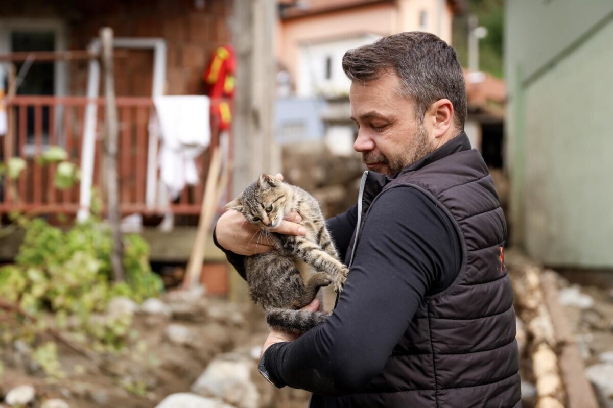 Dirljivi prizori iz BiH: Volonter iz ruševina spasio mačku