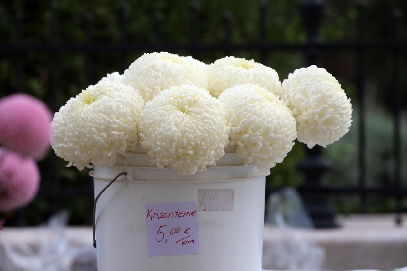 Rijeka: Prodaja cvijeća uoči blagdana Svih svetih Rijeka: Prodaja cvijeća uoči blagdana Svih svetih