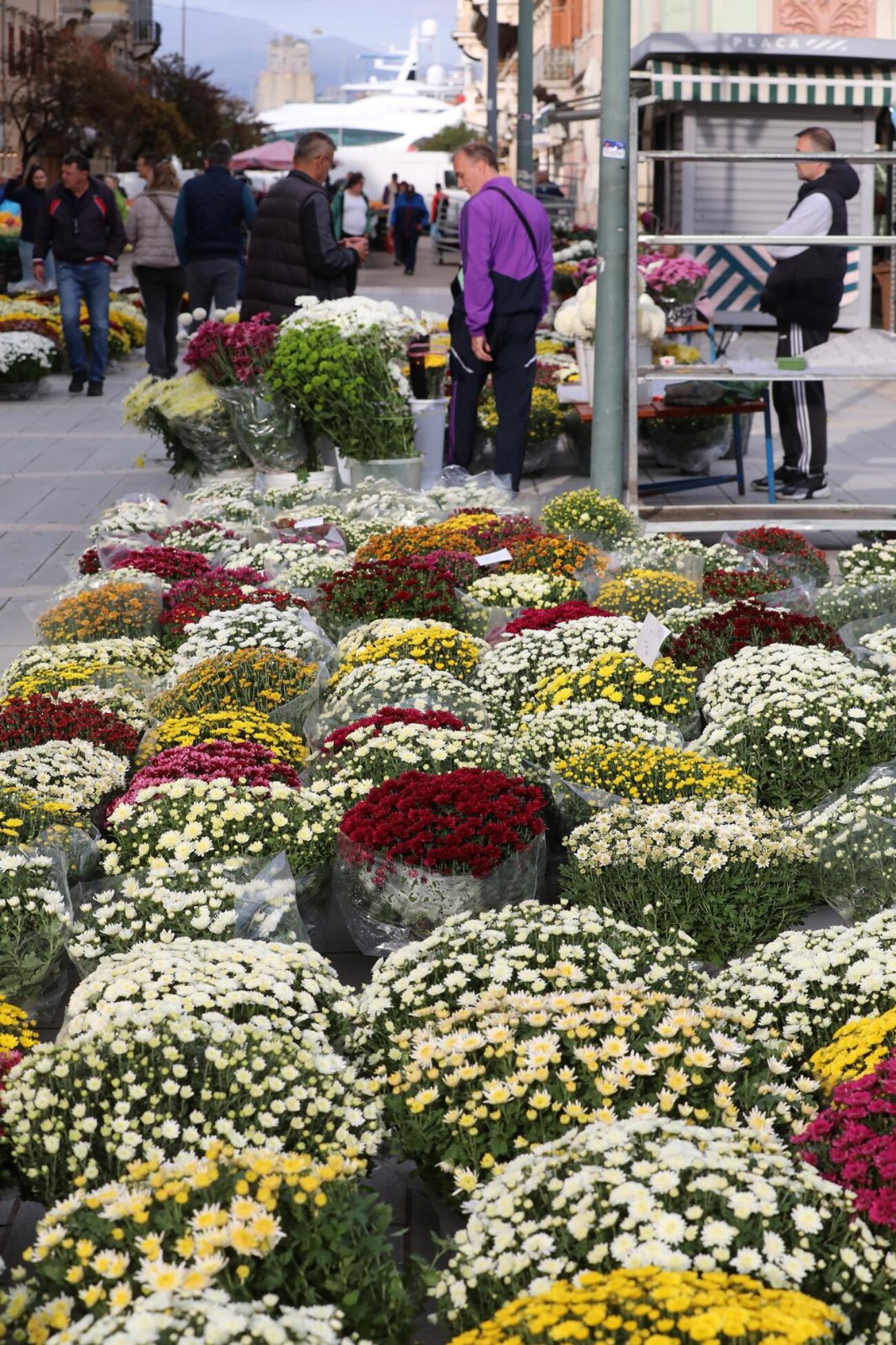 Rijeka: Prodaja cvijeća uoči blagdana Svih svetih Rijeka: Prodaja cvijeća uoči blagdana Svih svetih