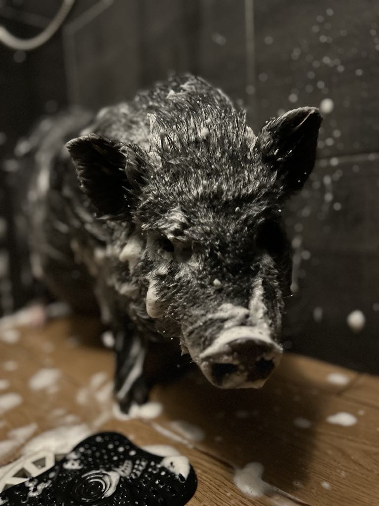 c0e31962-bf8c-4450-8894-94bd647a8e5c c0e31962-bf8c-4450-8894-94bd647a8e5c