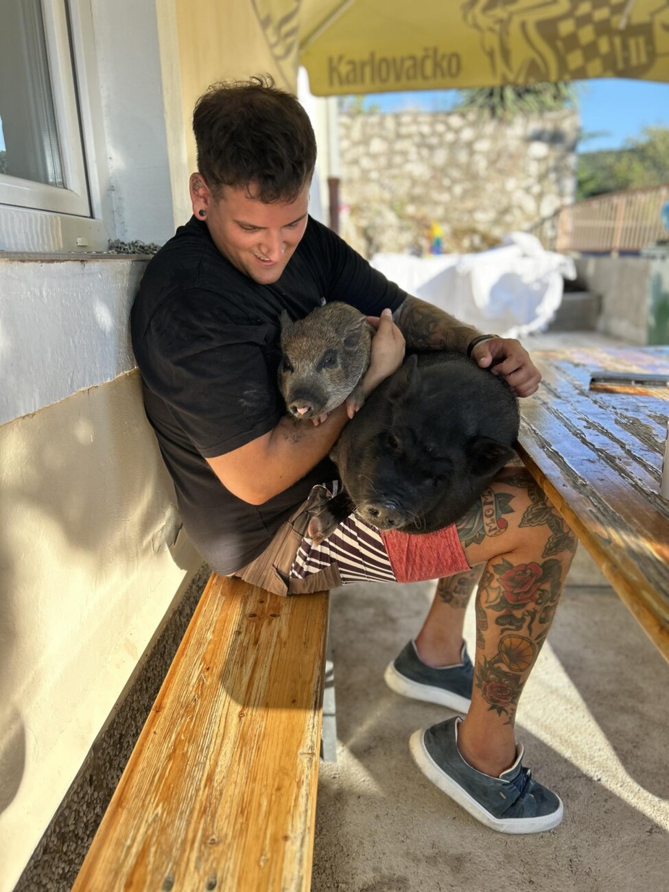 e26362bc-8631-475a-b25c-52ff41b99d10 e26362bc-8631-475a-b25c-52ff41b99d10