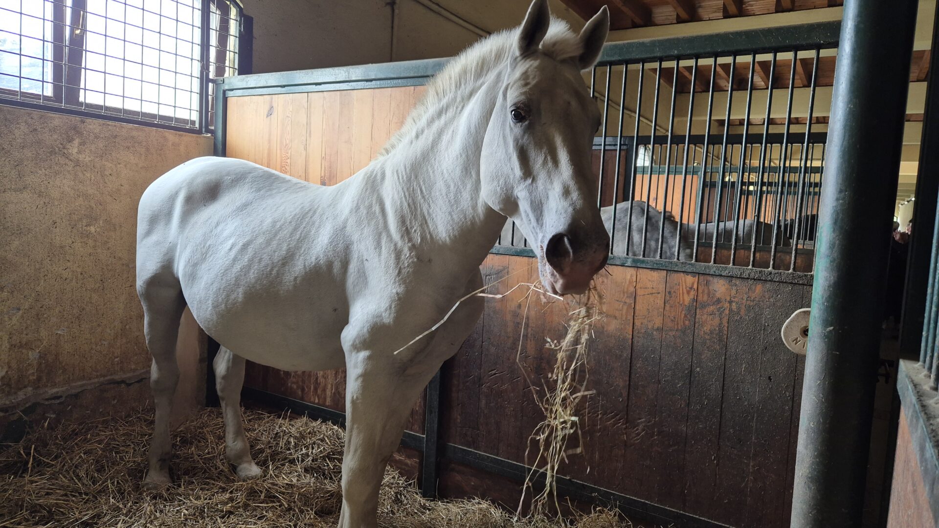 20241018_134631 20241018_134631