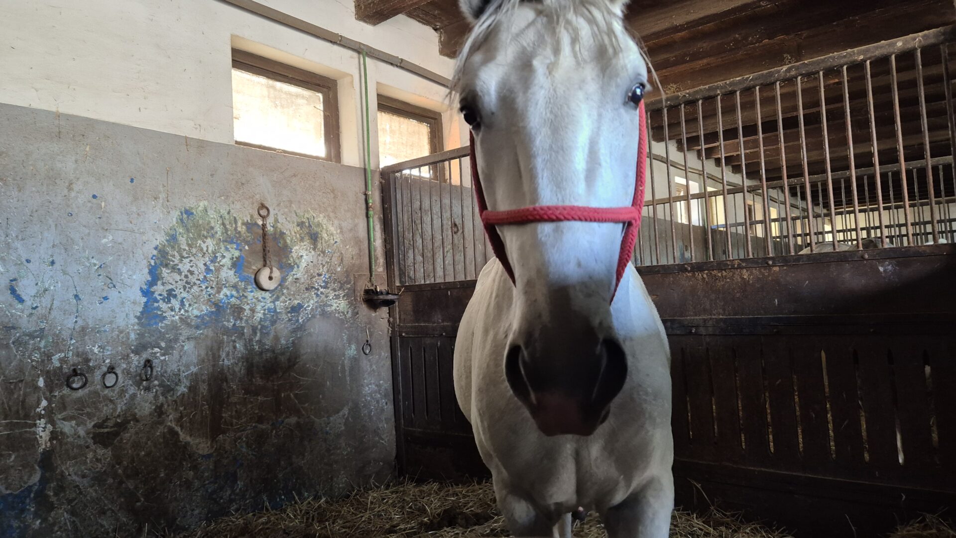 20241018_140009 20241018_140009