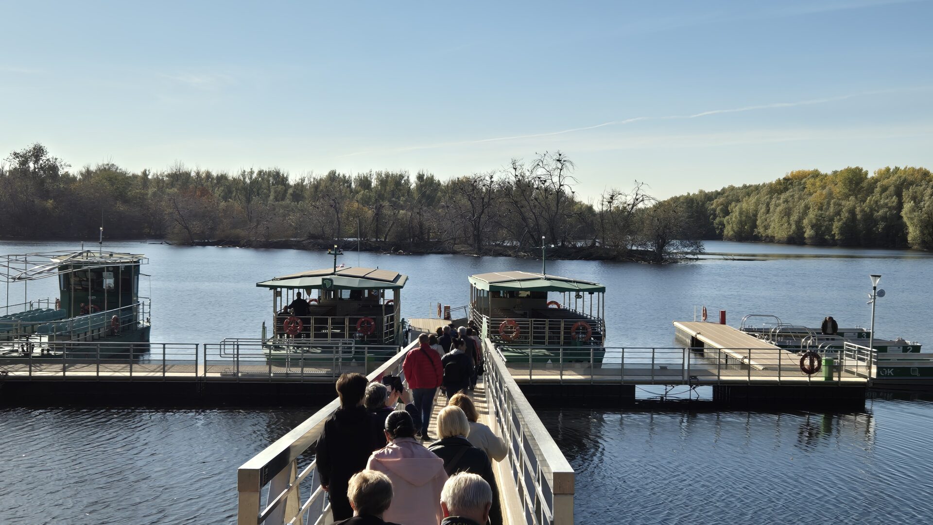 20241019_095738 20241019_095738