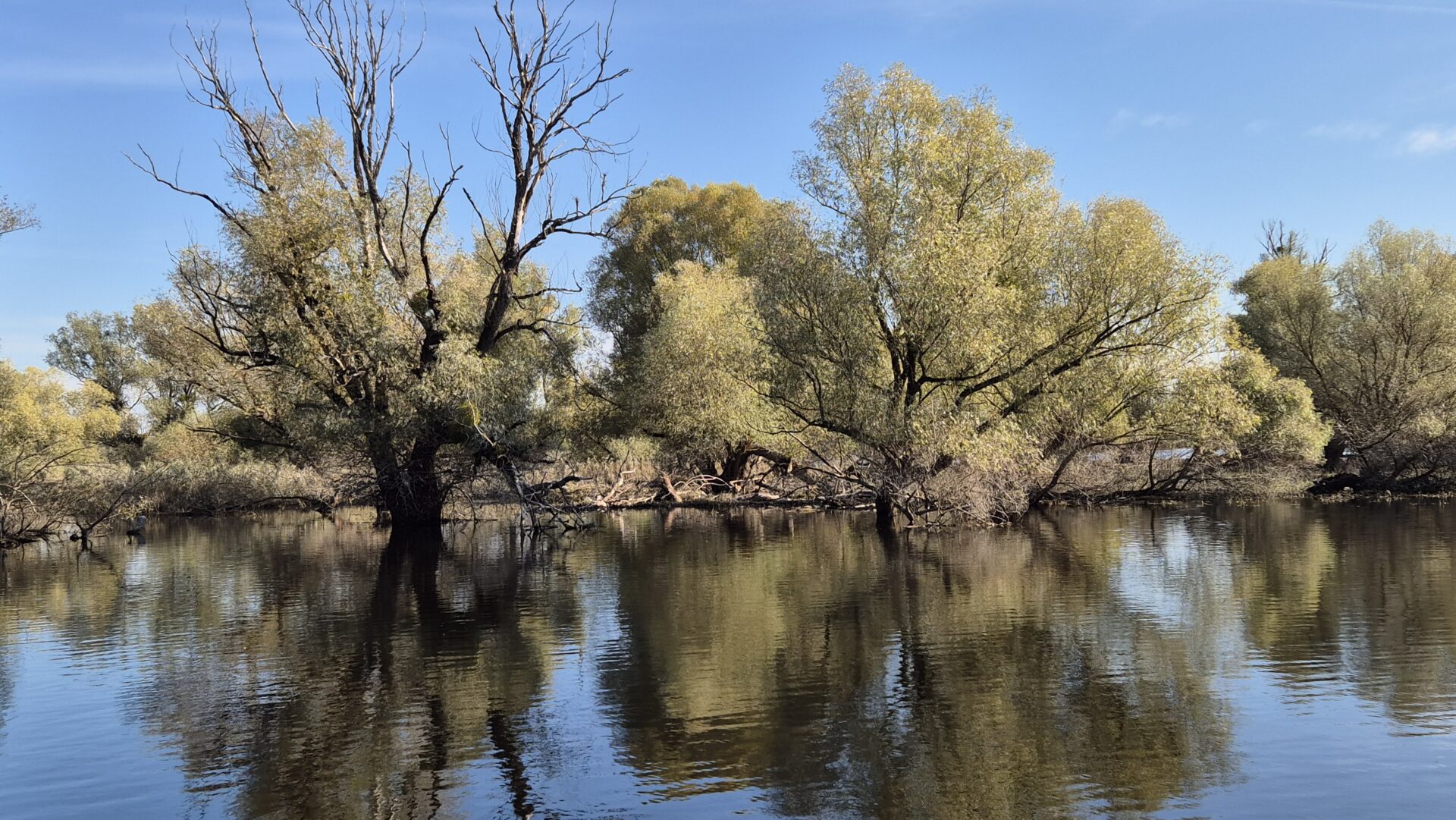 20241019_102846 20241019_102846