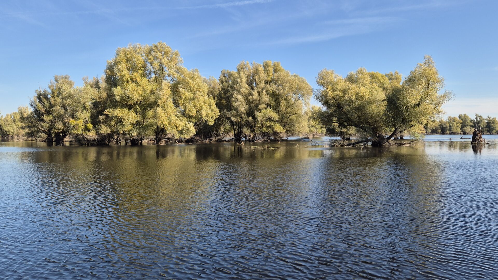 20241019_103147 20241019_103147