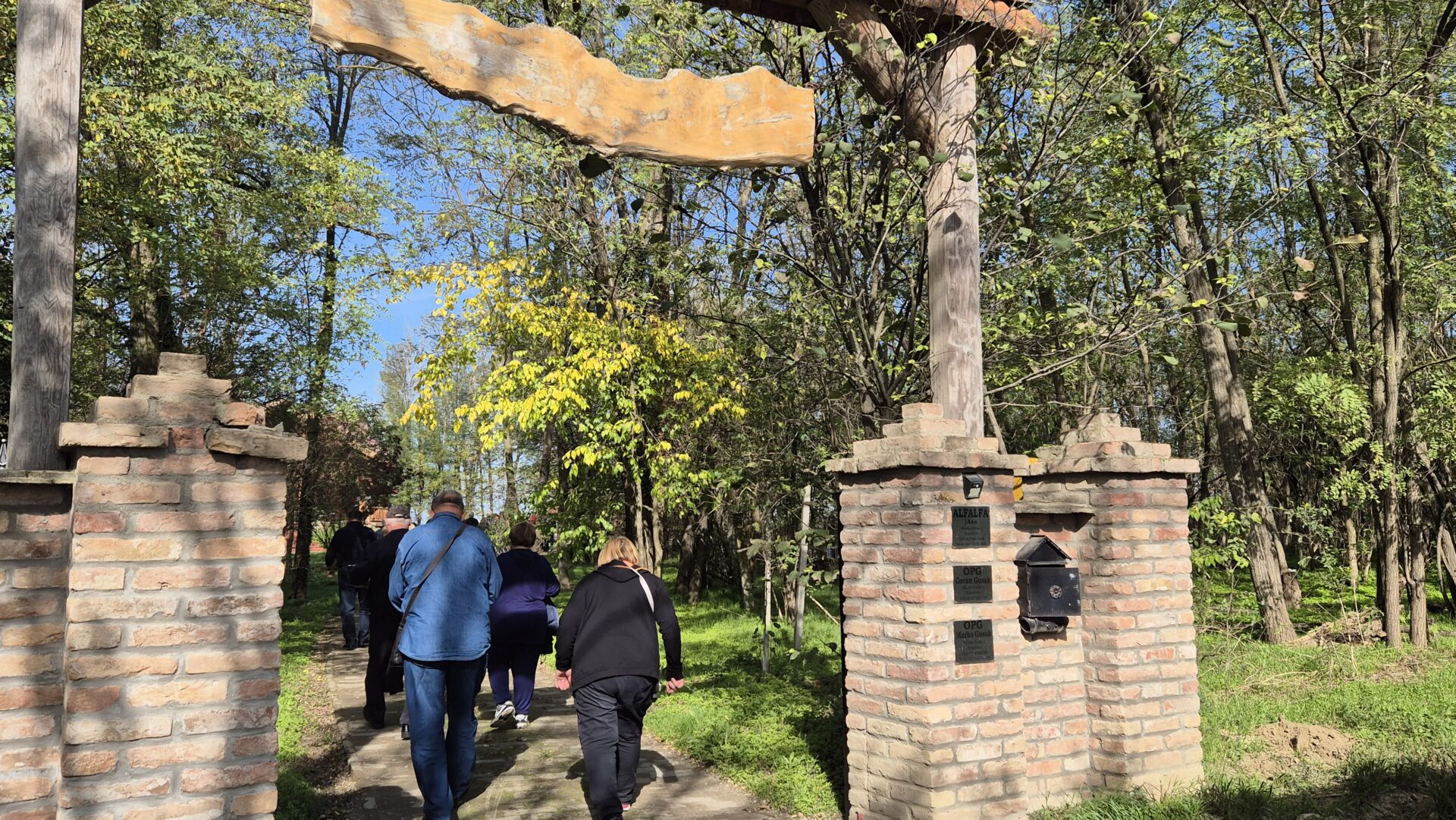 20241019_123114 20241019_123114