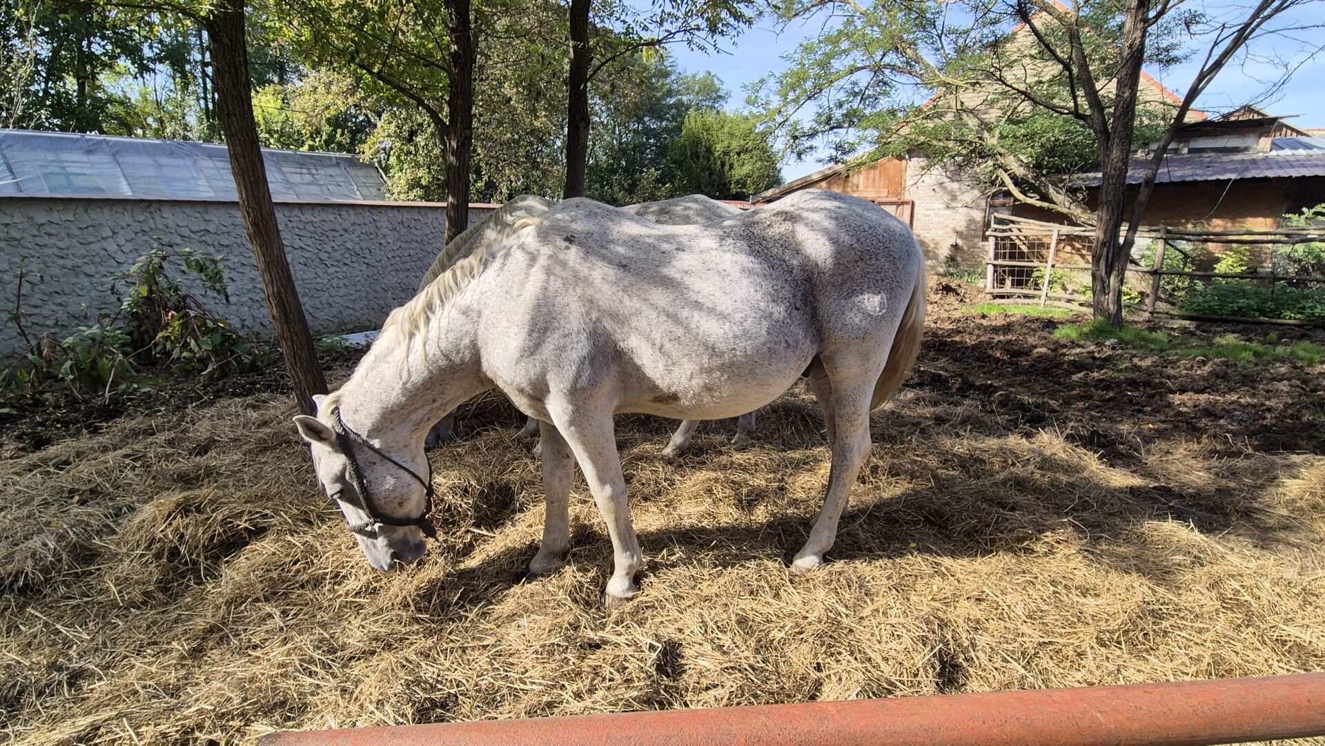 20241019_123342 20241019_123342