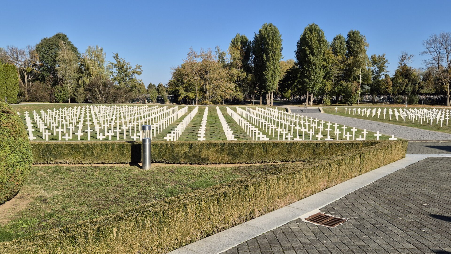 20241020_094800 20241020_094800