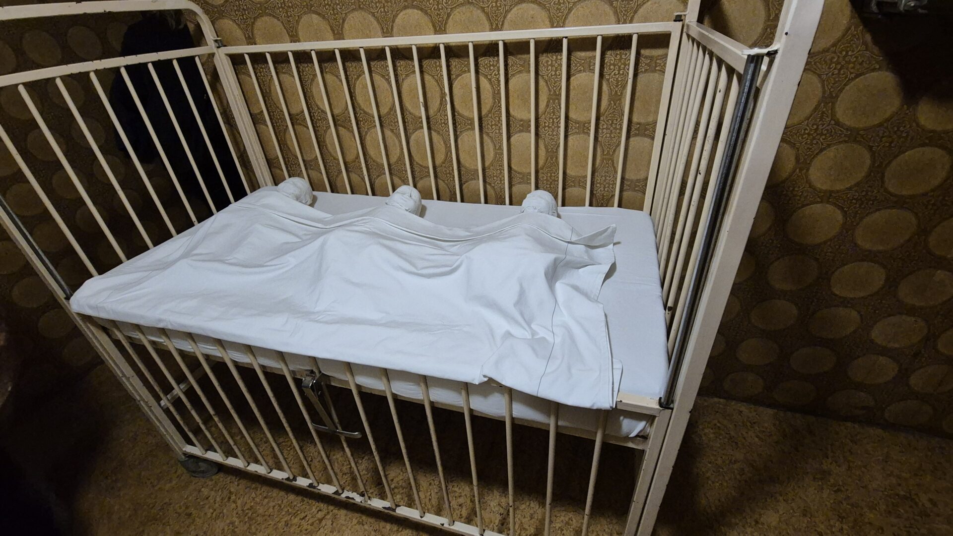 20241020_111857 20241020_111857