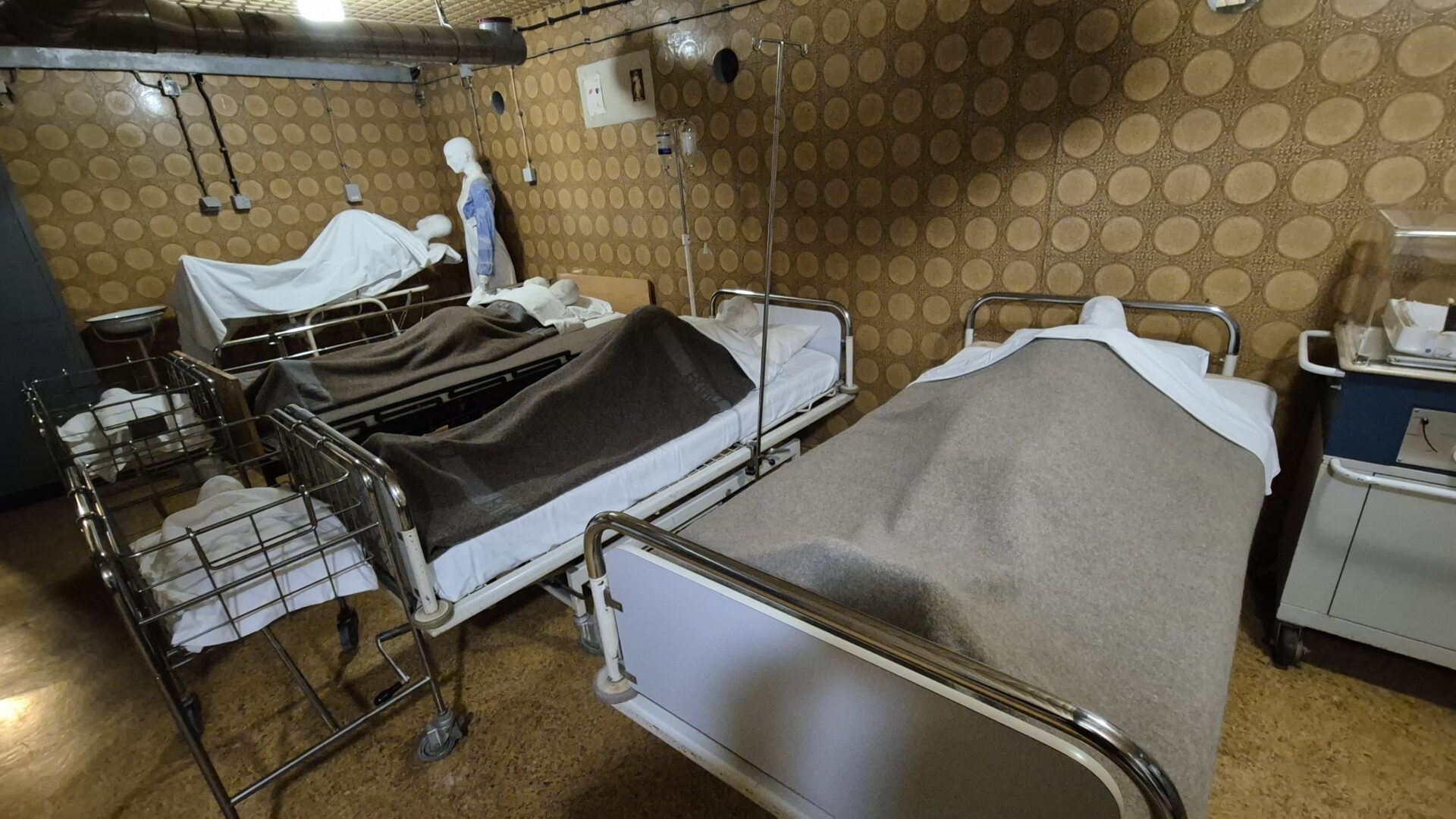 20241020_111904 20241020_111904