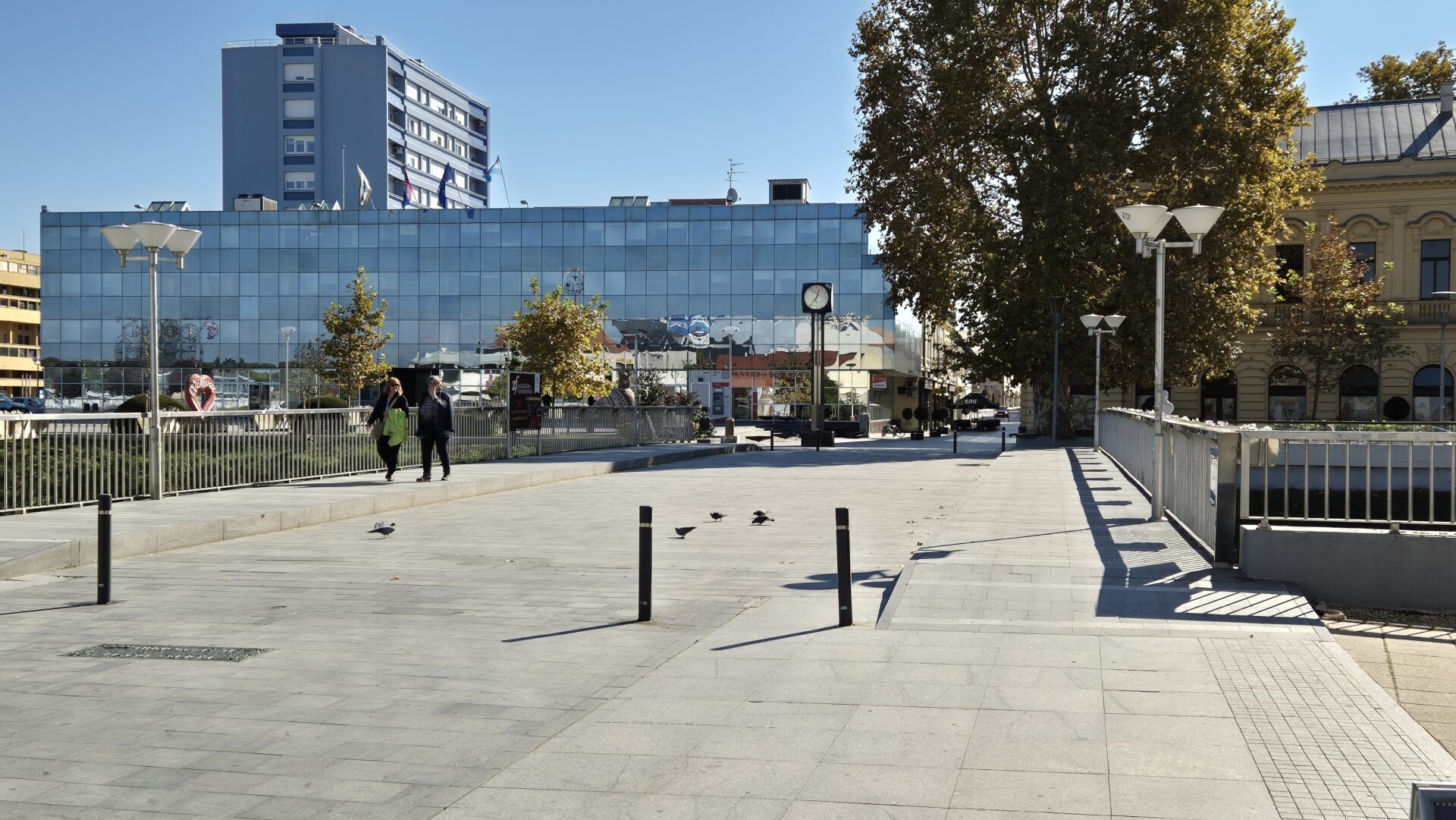 20241020_124045 20241020_124045