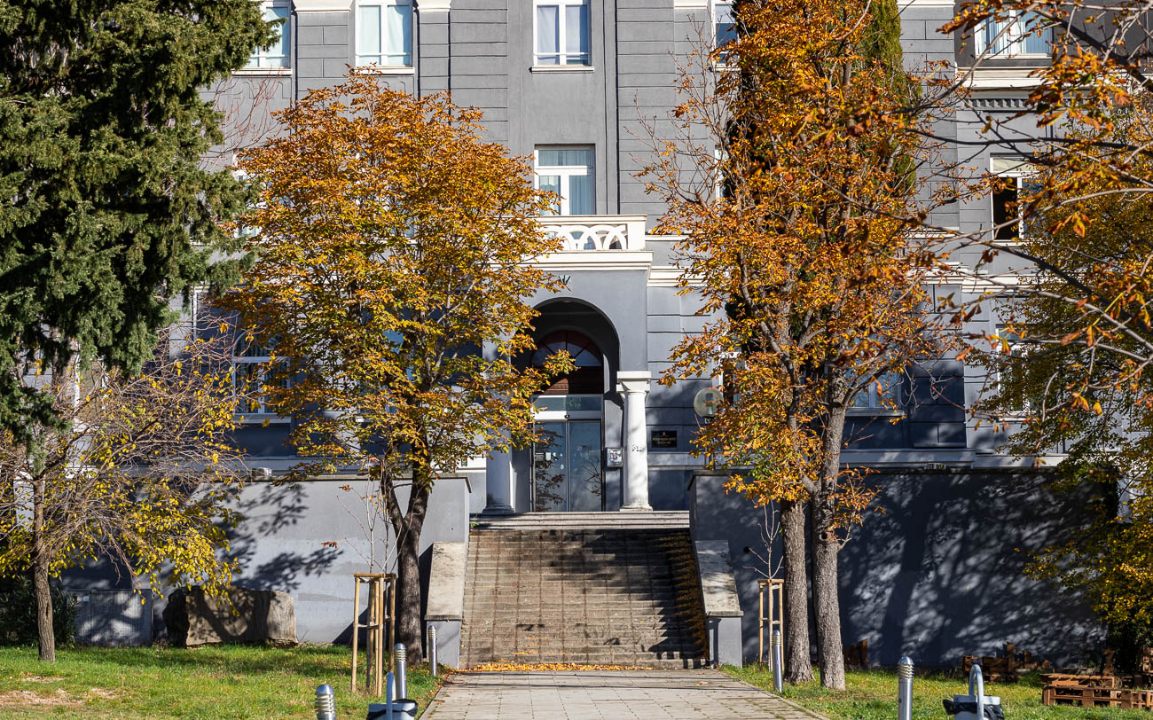 Ilustrativna trsat kampus akademija-56 Ilustrativna trsat kampus akademija-56