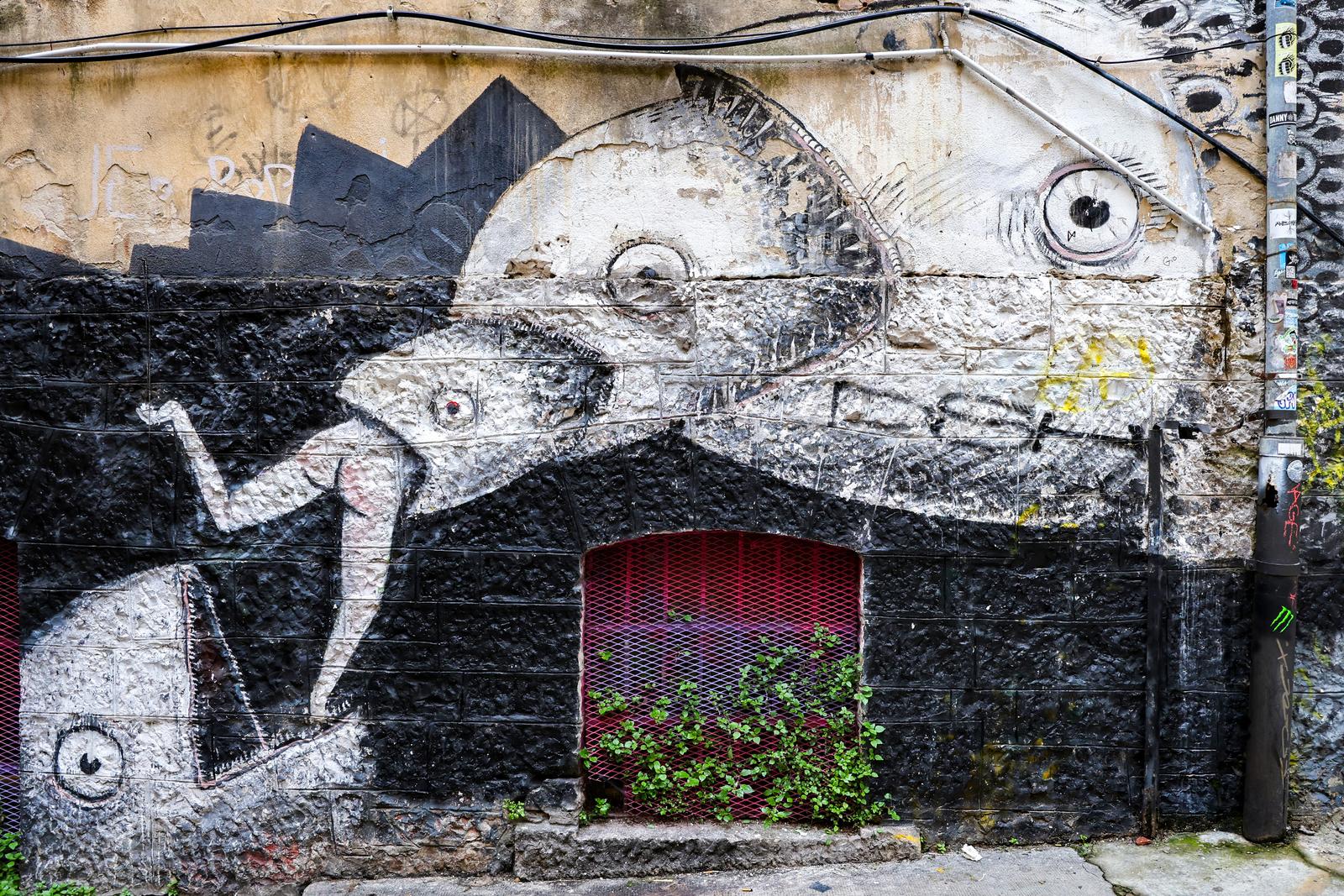 Murali u Puli Murali u Puli