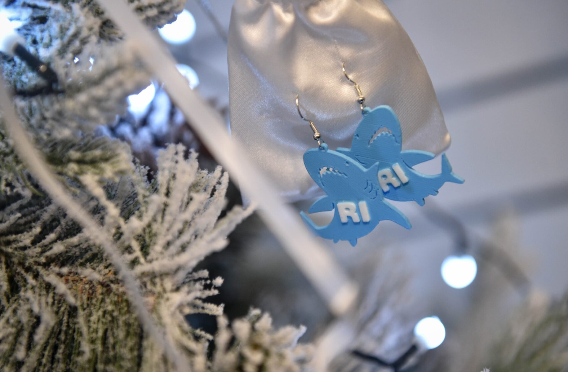 469412102_986196273537566_1861919103488252109_n 469412102_986196273537566_1861919103488252109_n