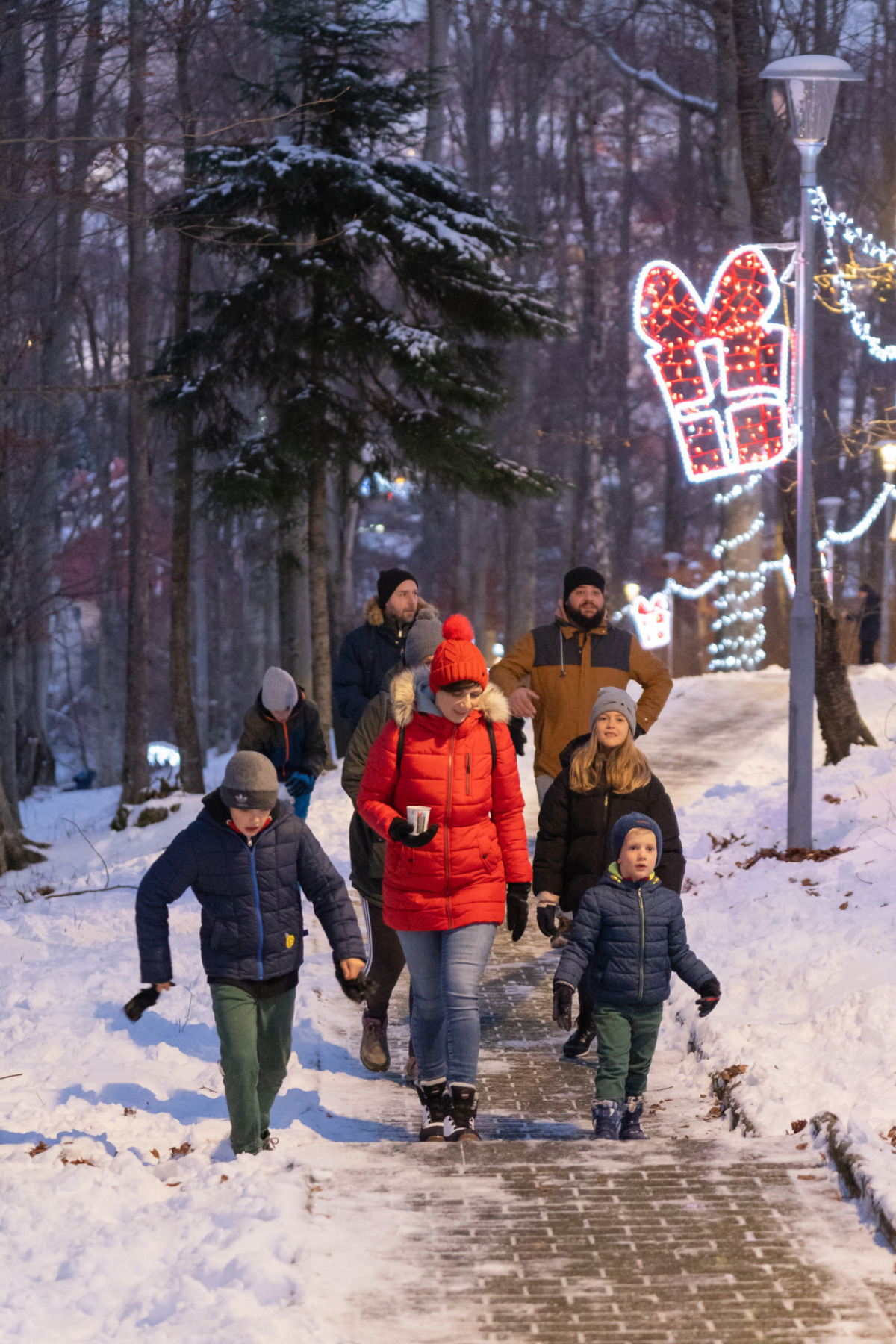 6 S╠îuma vilenjaka Advent u Fuz╠îinama 2023 photo by Antonio Ruz╠îic╠ü_Nedjelja 03.12-128