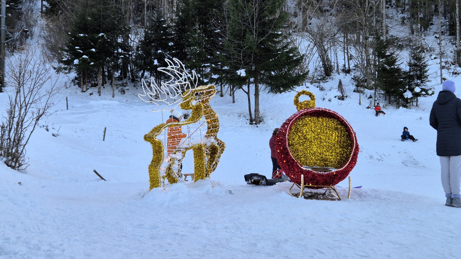 tršće 22 tršće 22